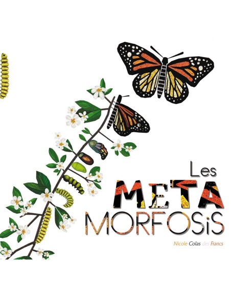 LES METAMORFOSIS