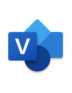 Visio Professional 2024 Representación mediante gráficos Completo 1 licencia(s)
