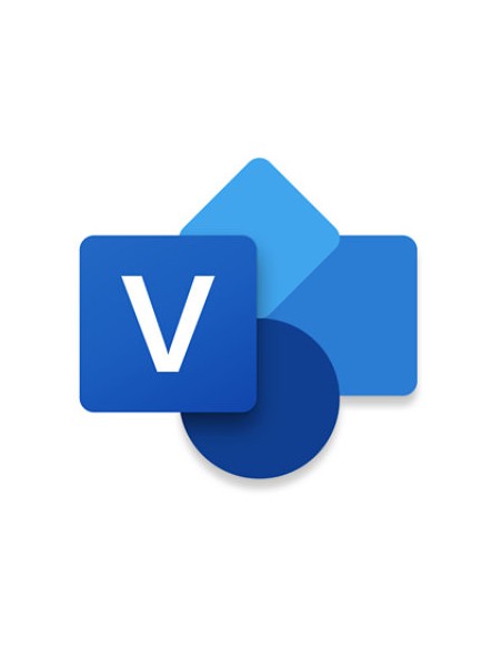 Visio Professional 2024 Representación mediante gráficos Completo 1 licencia(s)