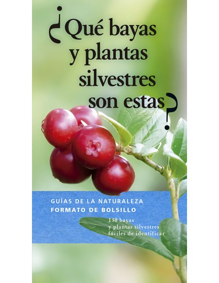 QUE BAYAS Y PLANTAS SILVESTRES SON ESTAS