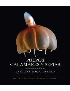 PULPOS CALAMARES Y SEPIAS