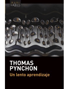 Un lento aprendizaje