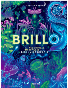 Brillo