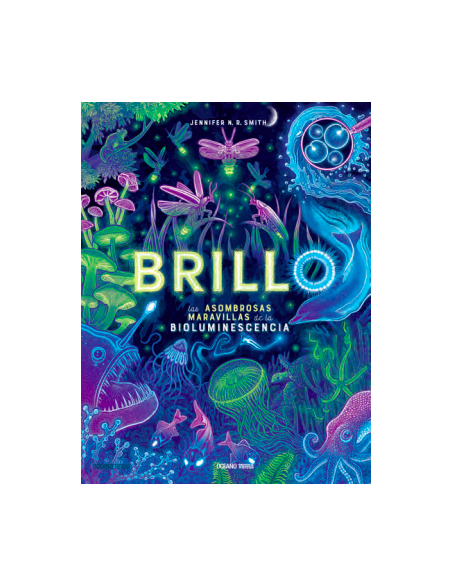 Brillo