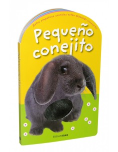 Pequeno conejito