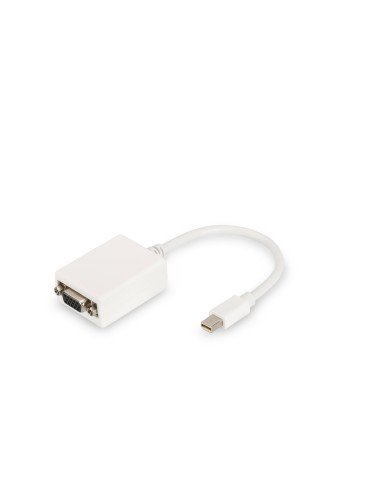 Cable adaptador DisplayPort