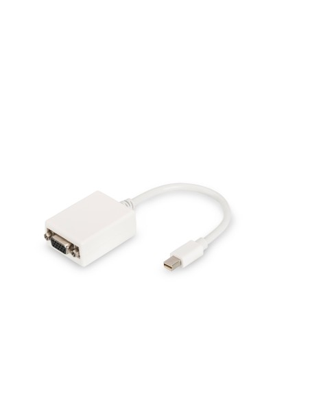 Cable adaptador DisplayPort