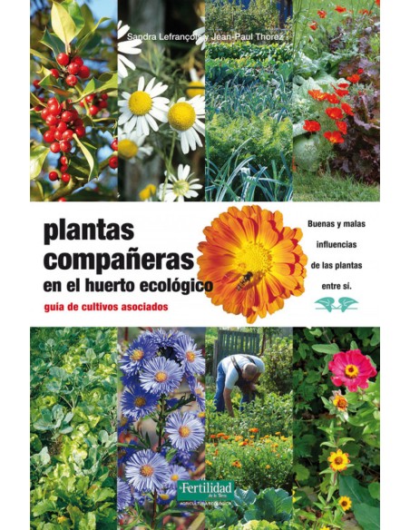 Plantas companeras del huerto