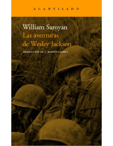 Las aventuras de Wesley Jackson