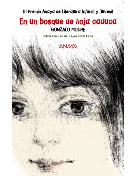 En un bosque de hoja caduca