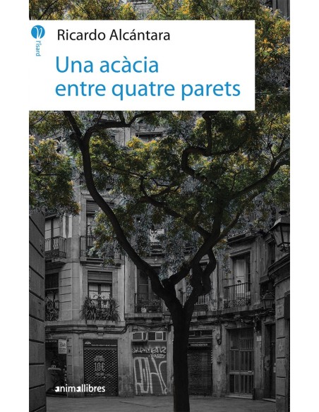 UNA ACACIA ENTRE QUATRE PARETS