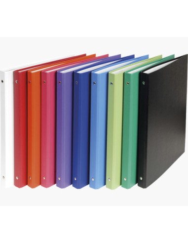 51150E carpeta de cartón A4 Multicolor