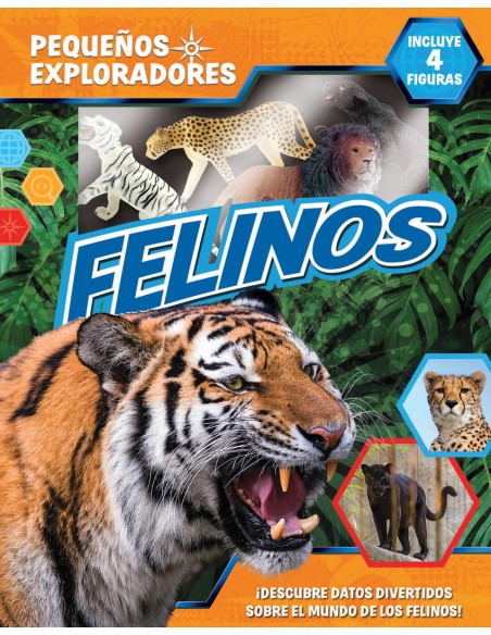 Felinos Pequenos Exploradores