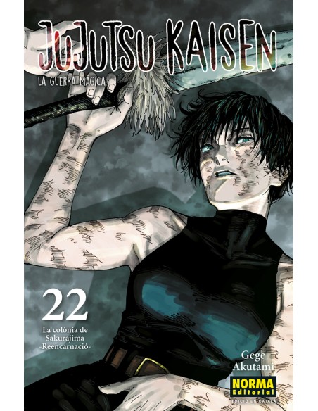 JUJUTSU KAISEN 22 CATALA