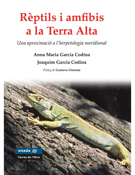 Reptils i amfibis a la Terra Alta