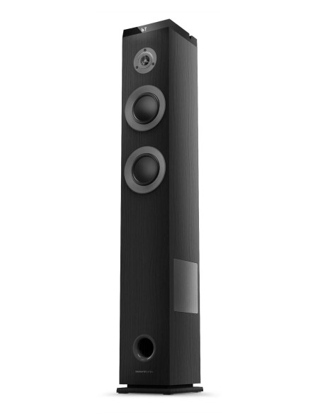 Tower 5 MAX Rango completo Negro Inalámbrico y alámbrico 100 W