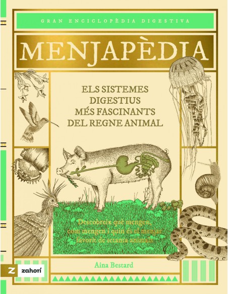 Menjapedia