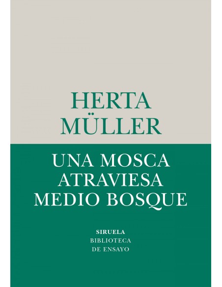 UNA MOSCA ATRAVIESA MEDIO BOSQUE