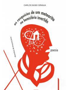 Os Resquicios de um Meteorito no Hemisferio invertido