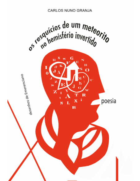 Os Resquicios de um Meteorito no Hemisferio invertido