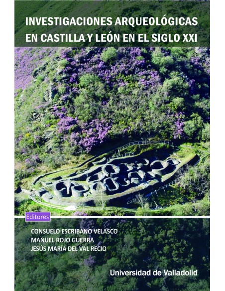 INVESTIGACIONES ARQUEOLOGICAS EN CASTILLA Y LEON EN EL SIGLO XXI