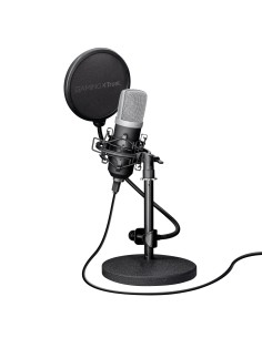 21753 micrófono Negro Micrófono de estudio 2