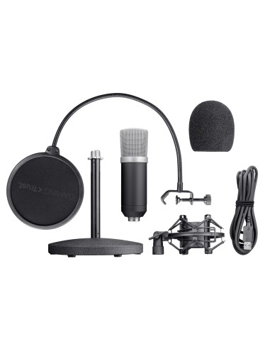 21753 micrófono Negro Micrófono de estudio