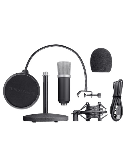 21753 micrófono Negro Micrófono de estudio