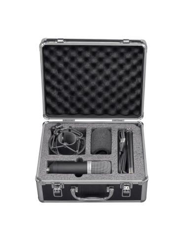 21753 micrófono Negro Micrófono de estudio