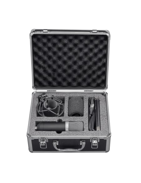 21753 micrófono Negro Micrófono de estudio