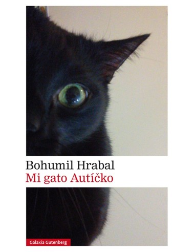 Mi gato Auticko