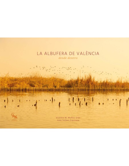 ALBUFERA DE VALENCIA DESDE DENTRO LA