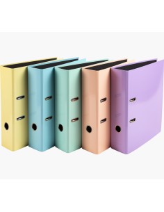 53560E carpeta de cartón A4 Colores surtidos