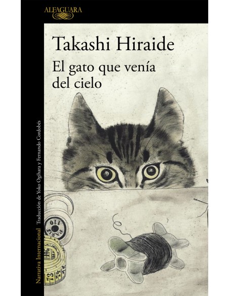 El gato que venia del cielo