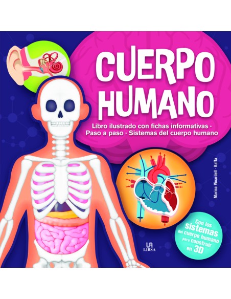 Cuerpo Humano