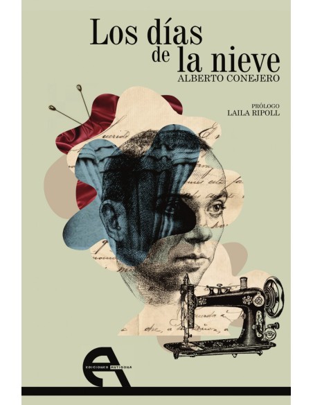 LOS DIAS DE LA NIEVE