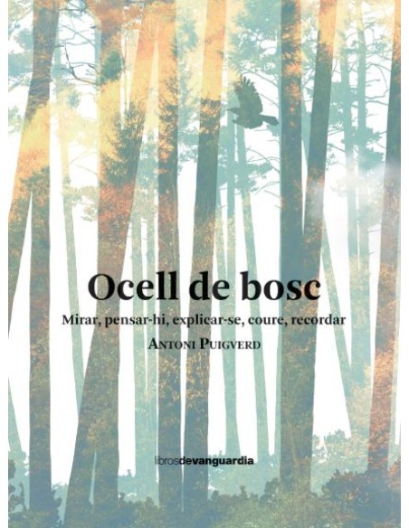 Ocell de bosc