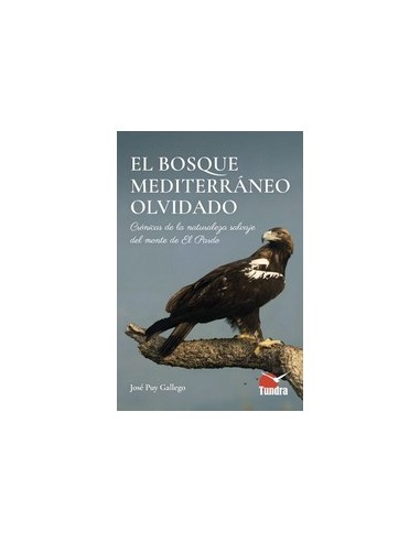 BOSQUE MEDITERRANEO OLVIDADO EL