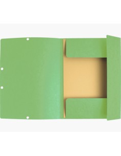 55513E carpeta Caja de cartón Verde A4