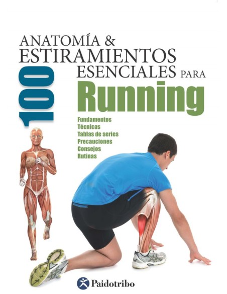 Anatomia