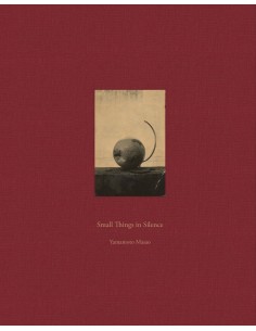 Small Things in Silence Third Edition