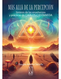 MAS ALLA DE LA PERCEPCION