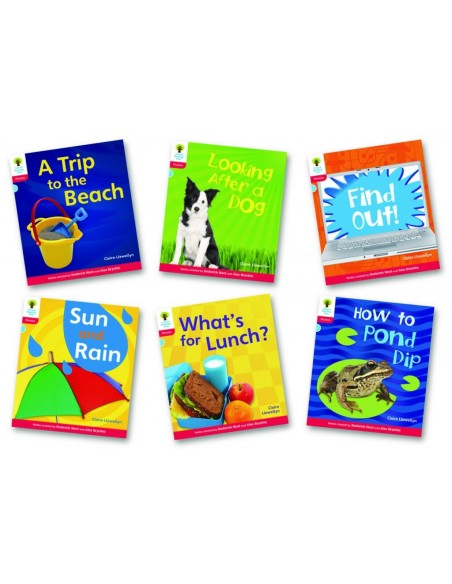 Oxford Reading Tree 4 Floppys Phonics Non Fiction Pack of