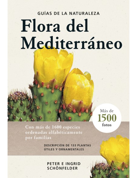 FLORA DEL MEDITERRANEO