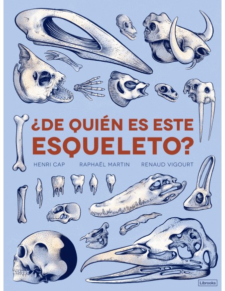 DE QUIEN ES ESTE ESQUELETO