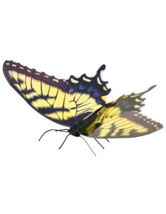 Metal Earth Tiger Swallowtail