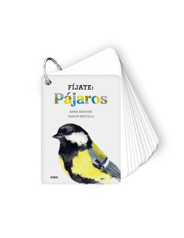 Fijate pajaros