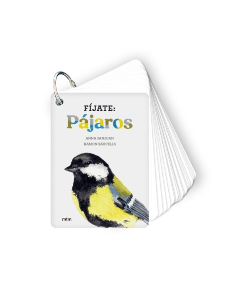 Fijate pajaros