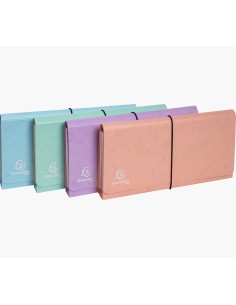 58660E carpeta Cartón prensado Colores surtidos DL