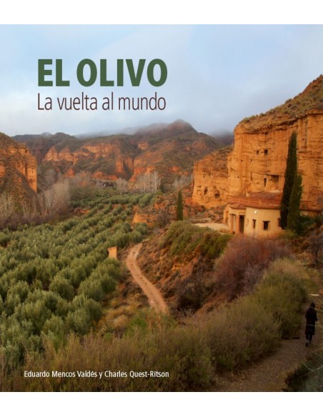 El olivo
